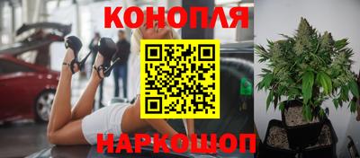 индика Ливны