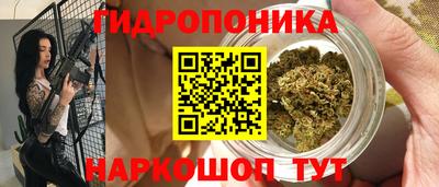индика Ливны