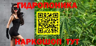 дмт Лесосибирск