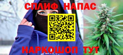 индика Ливны