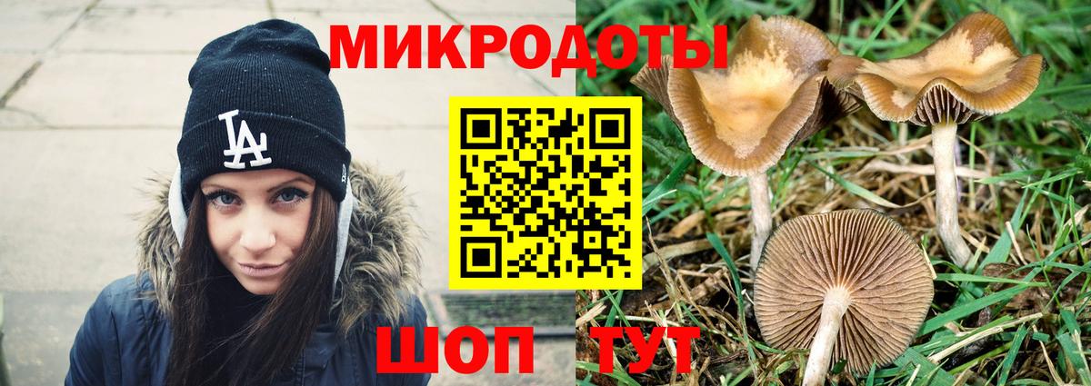 где найти наркотики  Псилоцибиновые грибы GOLDEN TEACHER  Псилоцибиновые грибы Psilocybine cubensis  Вход с VPN  Домодедово 