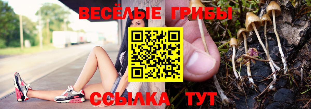 Псилоцибиновые грибы мицелий Домодедово